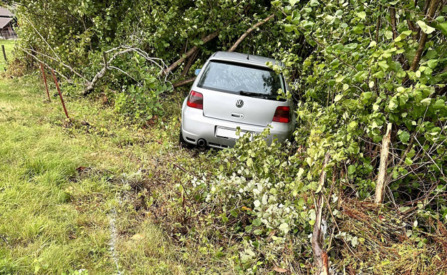 74-Jähriger fährt mit dem Auto in die Büsche