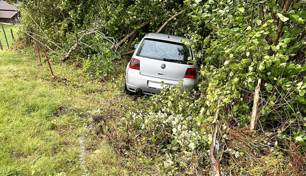 74-Jähriger fährt mit dem Auto in die Büsche